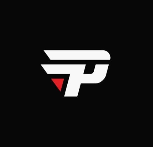 a poderosa paiN gaming