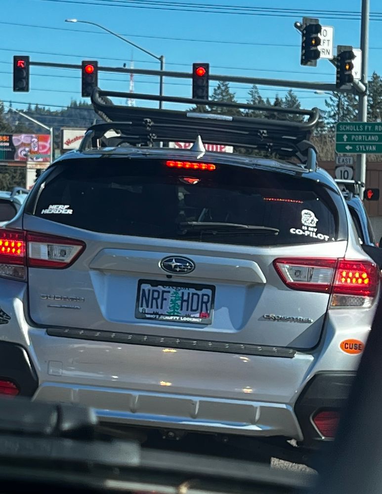 Silver car with license plate that reads NRF HDR and on the back windshield is a white sticker that reads “Nerf Herder” and another with an image of Chewbacca followed be the words “is my copilot.”