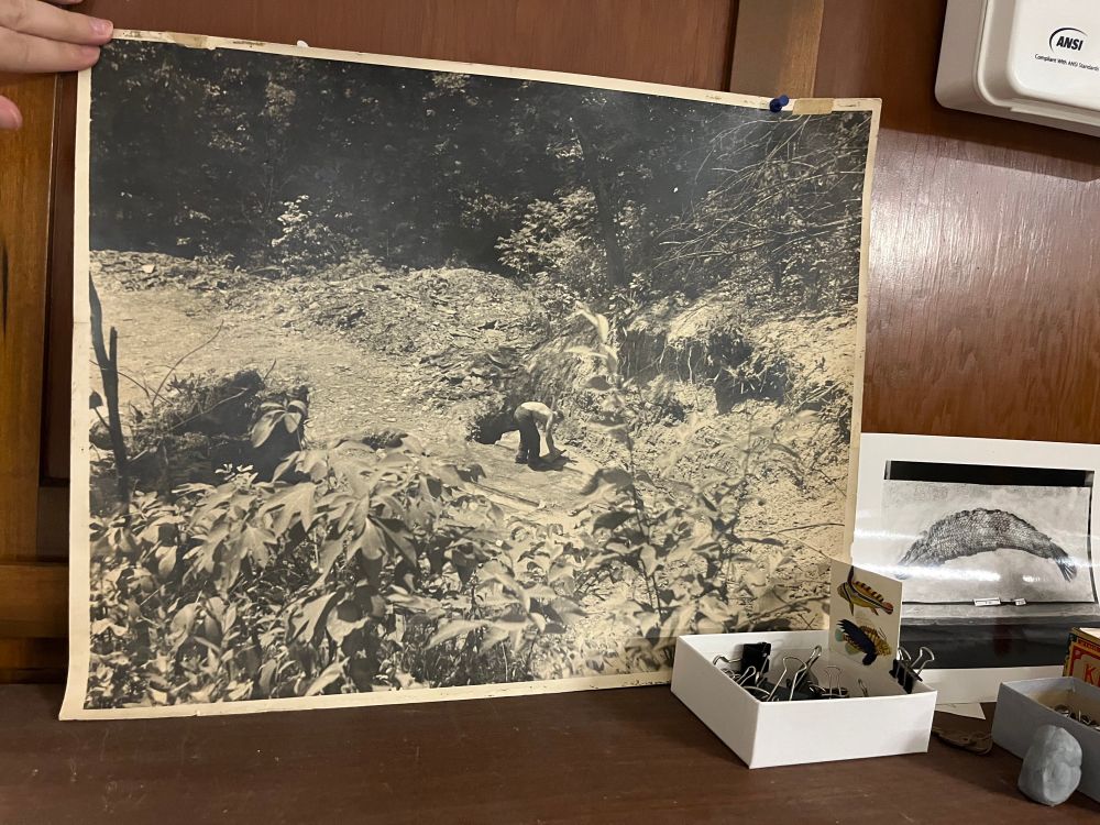 A picture of a print of Rainer Zangerl collecting in the black shales of the midcontinent