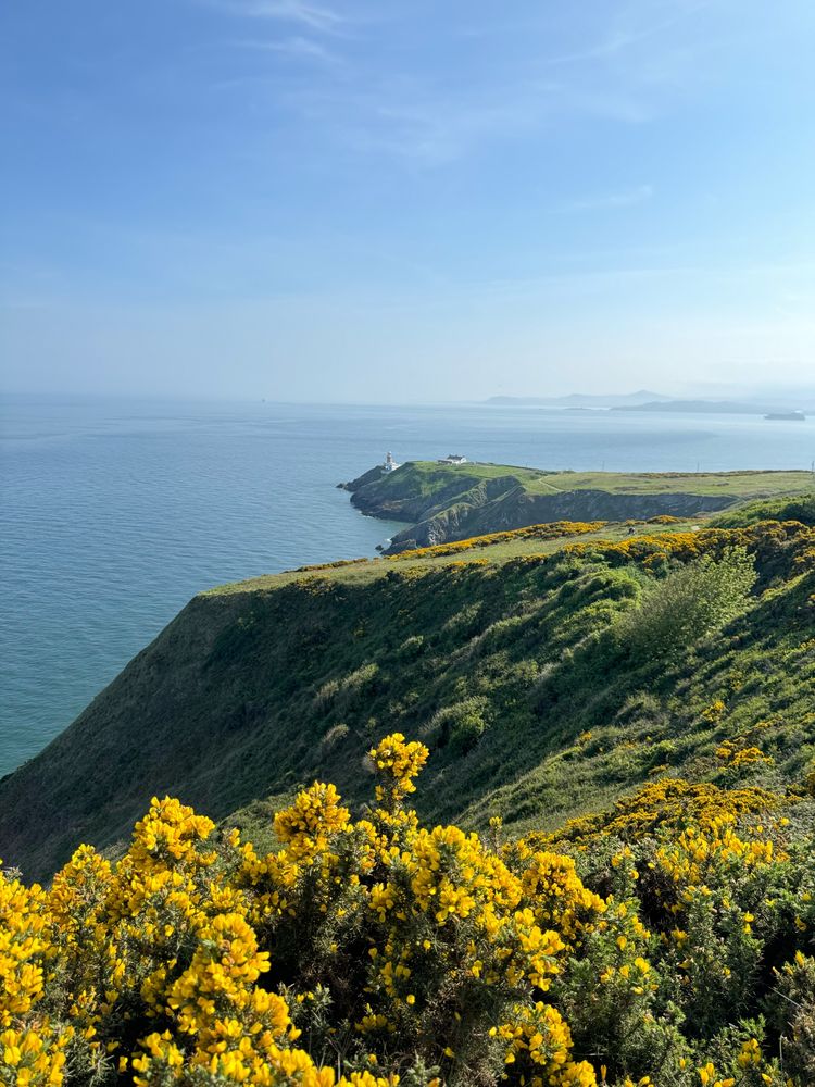 Paysage de randonnée avec des fleurs et vue sur mer à Howth près de Dublin