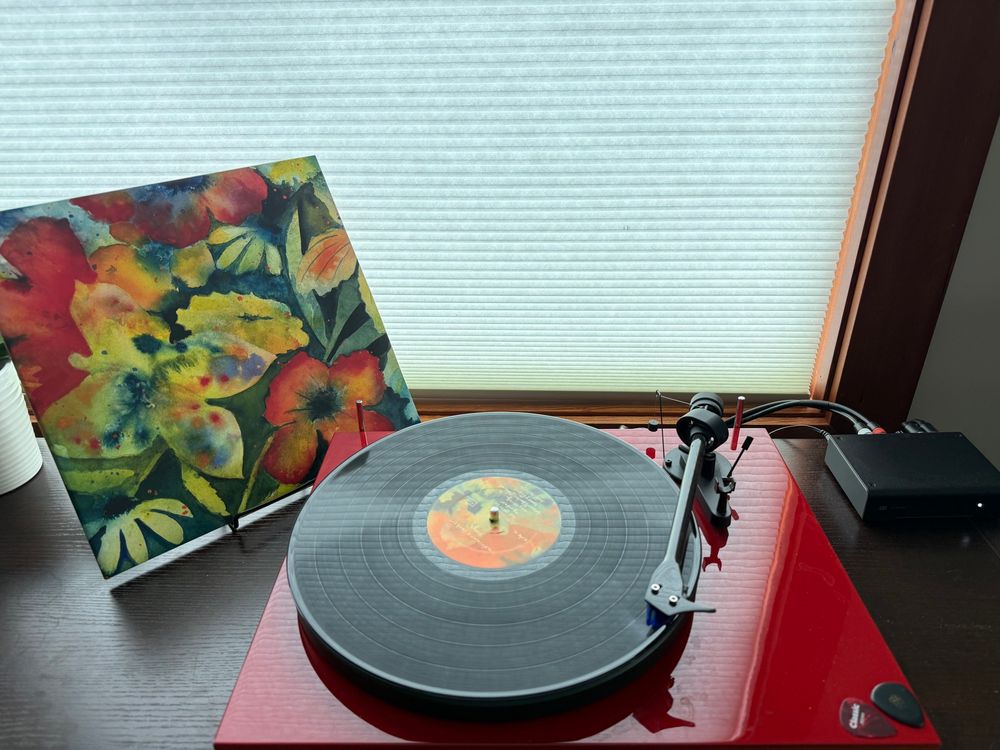 A soft watercolor-style painting of delicate flowers against a blue and green background, with no text, evoking a gentle, introspective, and natural atmosphere.