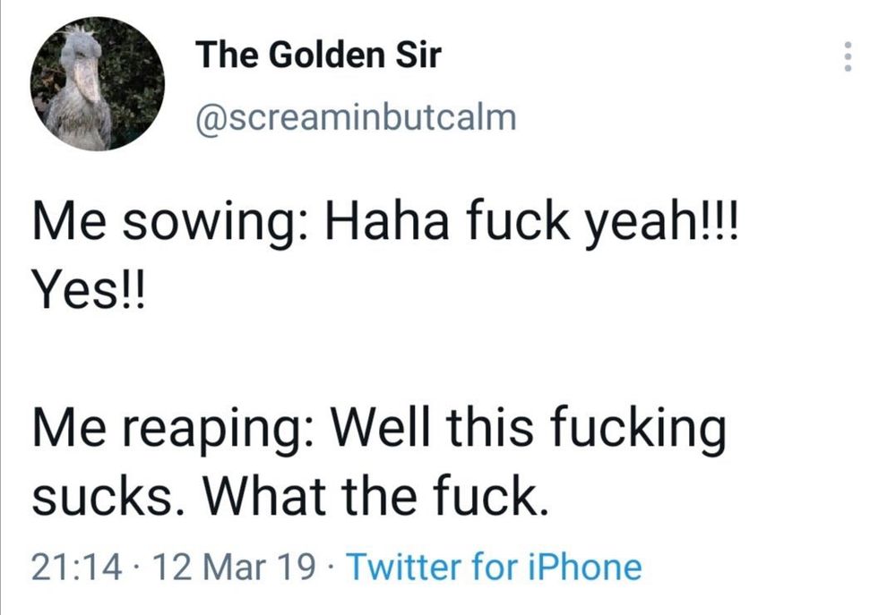 a tweet that says: “Me sowing, fuck yeah / Me reaping, well this fucking sucks wtf”