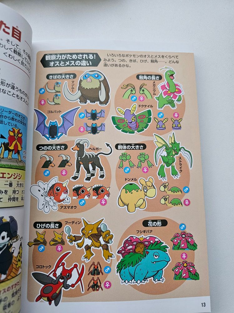 A depiction of the differences between male and female Pokémon