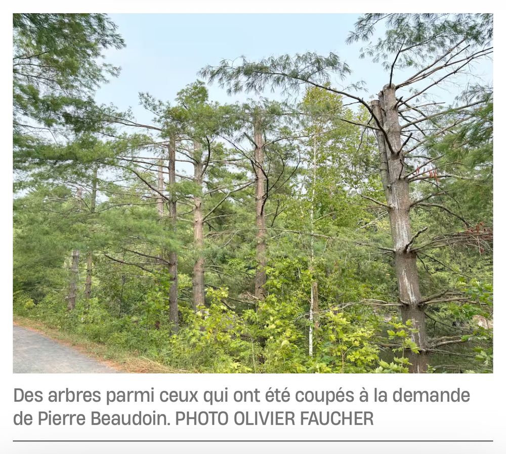 Source: https://www.journaldemontreal.com/2025/08/05/le-president-du-ca-de-bombardier-a-fait-couper-des-arbres-pour-ameliorer-sa-vue-sur-le-lac-brome-denoncent-des-citoyens