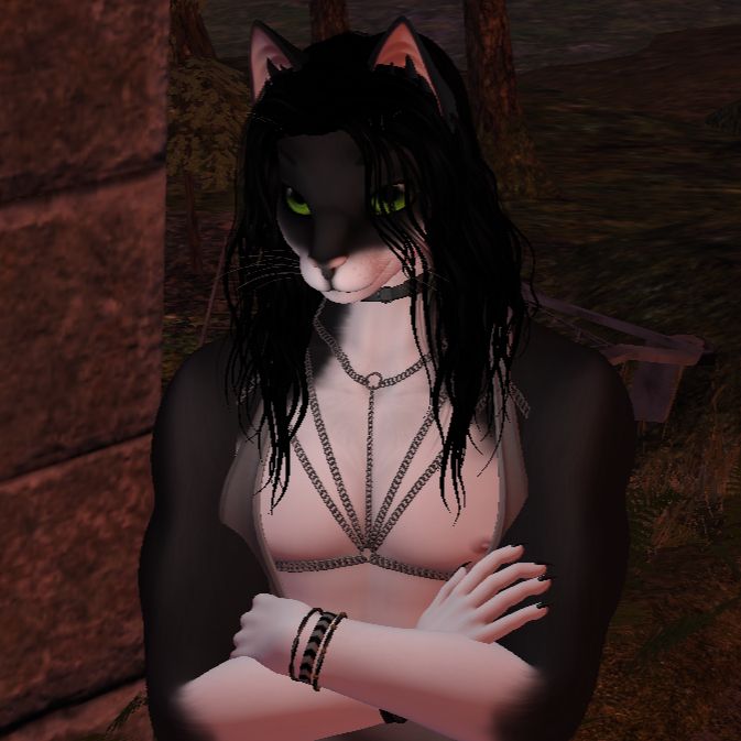 a tuxedo cat furry avatar (greg) with green eyes and long black hair is staring to the left. he is wearing a grey tank top, a chain harness, a black collar, and a black and white striped bracelet.