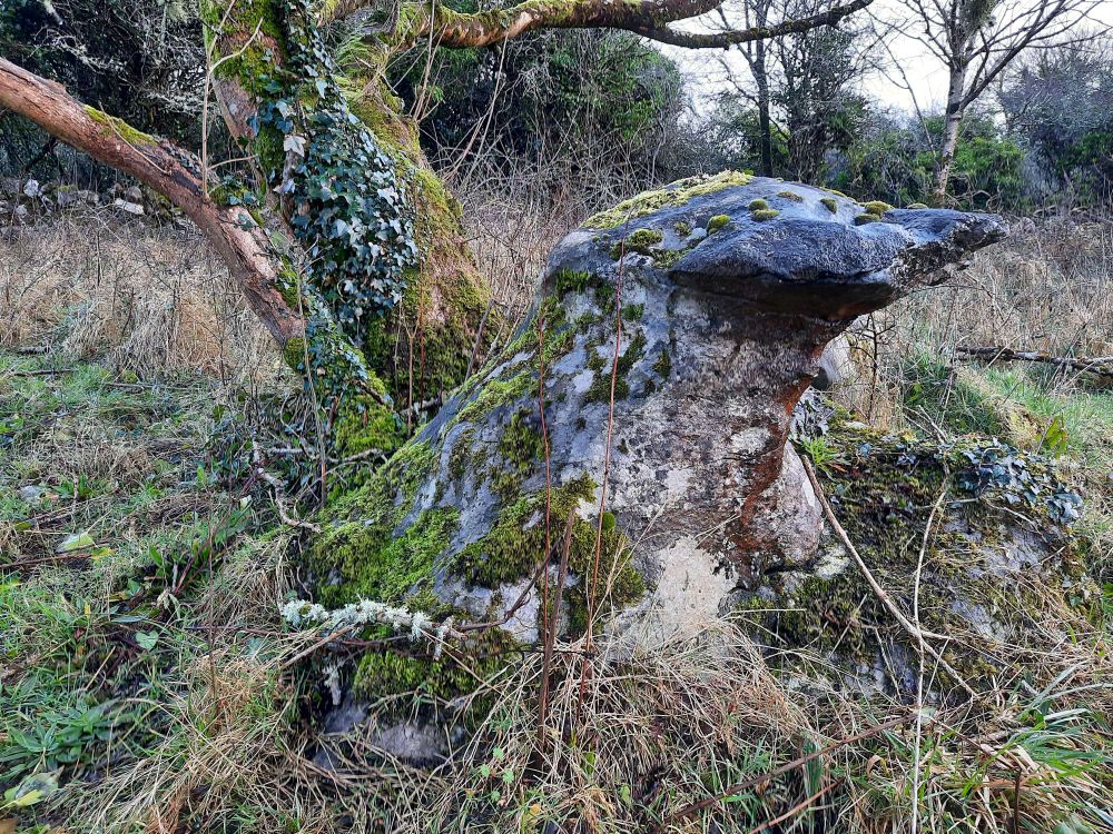 Another mushroom stone in meadow near Lough Corrib, Galway