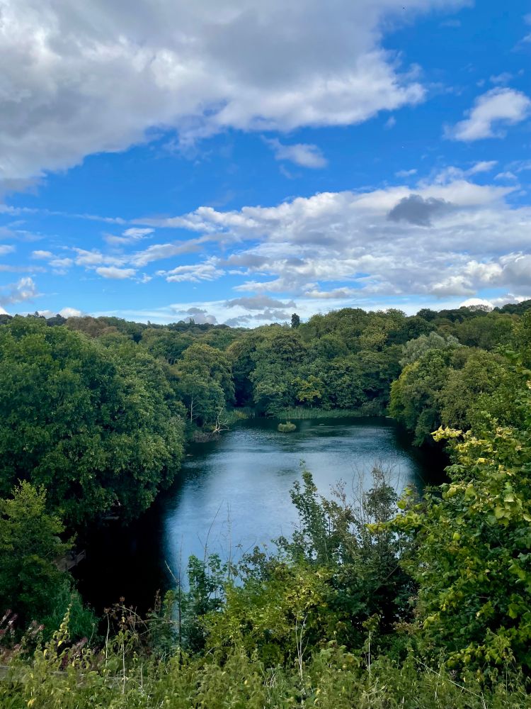 A view overlooking a pond surrounded by trees… the sky is blue sky with some clouds. 