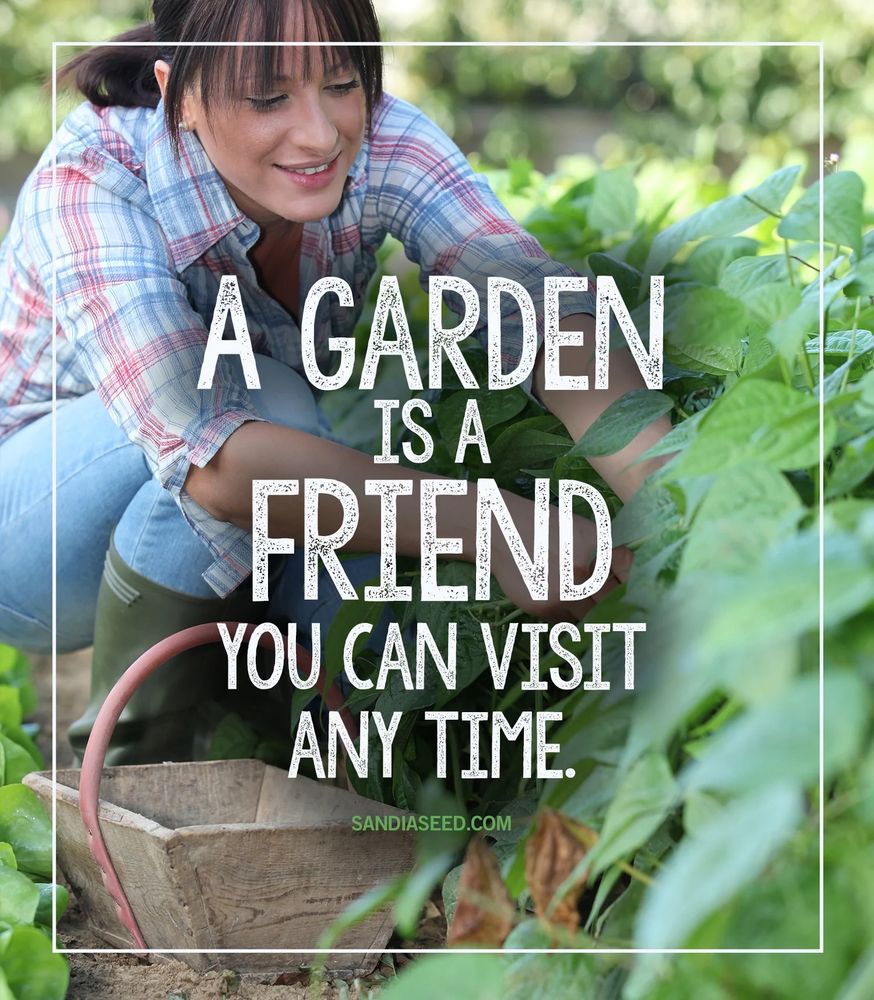 A garden is a friend you can visit anytime by sandyseed.com