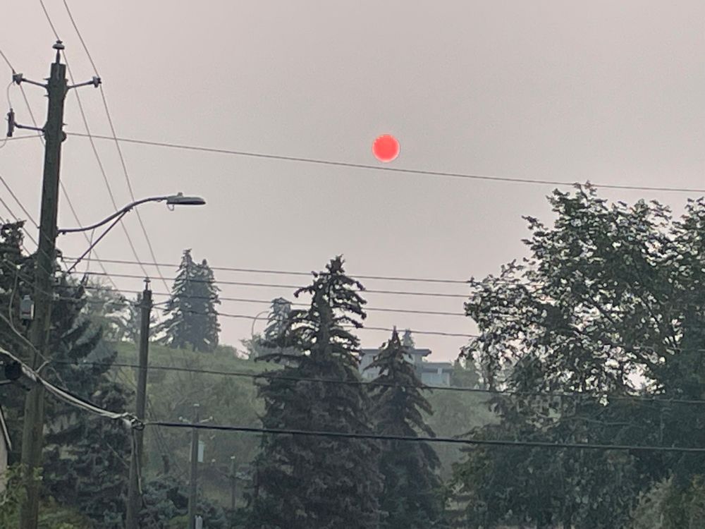 Photo of a treed hill through power lines and smoke. An orange dot hangs in the haze.