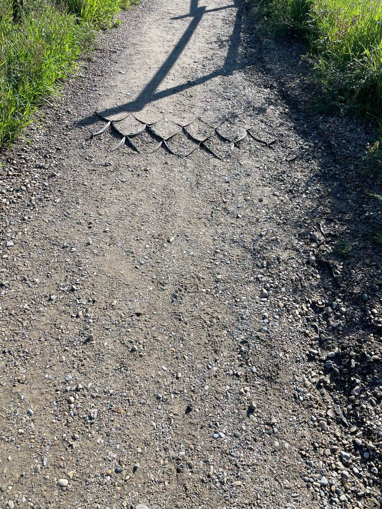 Photo of a worn walking path with Geo-grid poking through.
