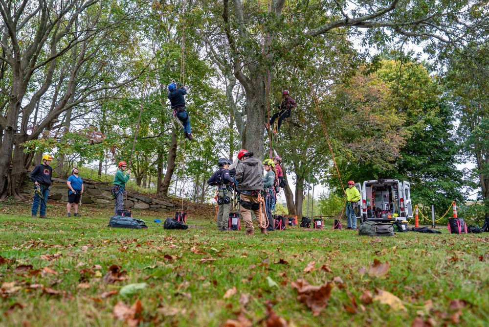 People practice tree climbing and safety techniques during an outdoor training session.