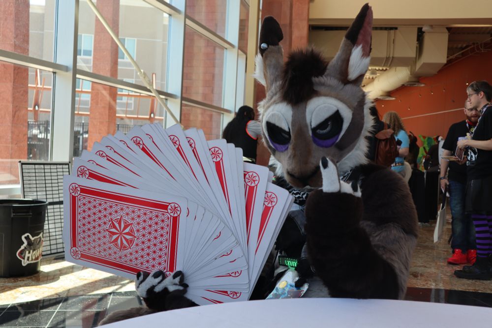 A Hare fursuiter glaring at the camera, flipping off the viewer holding a ridiculous amount of oversized playing cards in the other hand.