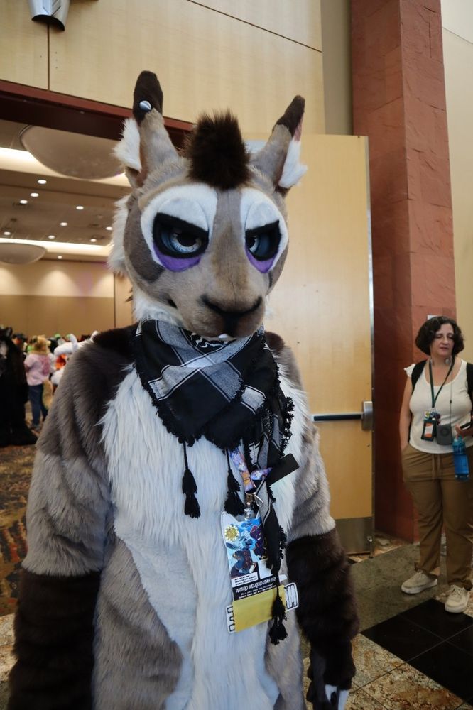 A prairie hare fursuiter looking tired and glaring at the camera