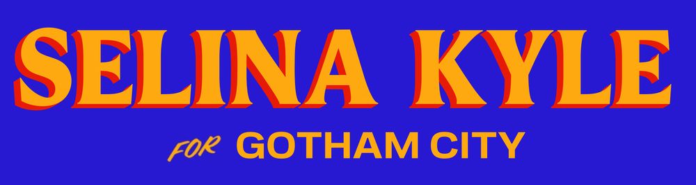A sign in the style of ZOHRAN for New York City signs that says:
Selina Kyle for GOTHAM CITY.
