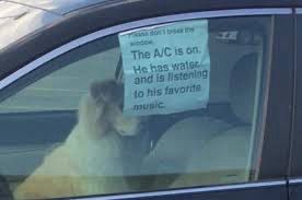 dog in the car meme with the text: “The A/C is on. He has water and is listening, to his favorite music”