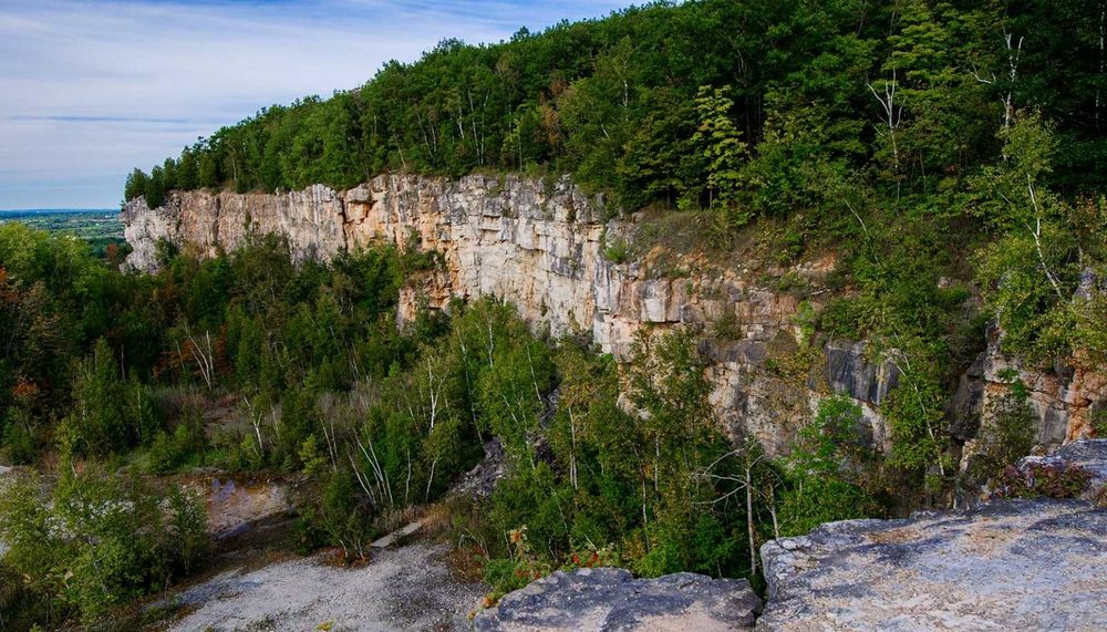 a sheer cliff face of tan rock rises up out a dense pine forest with more dense forest atop it