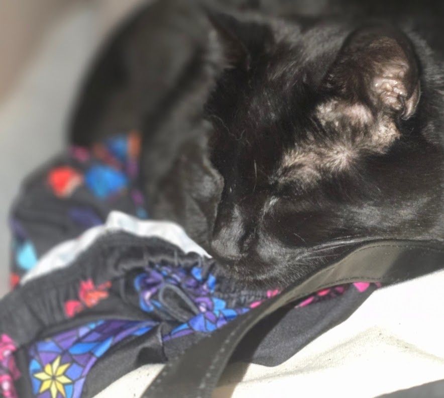 A black cat, eyes closed against the flash, lying atop a canvas purse and a not-yet-worn cathedral skirt by Maya Kern. The skirt consist of art of colorful stained glass panels on a black background. Dominate colors are blue, purple, red and pink. The cat appears very comfortable. 