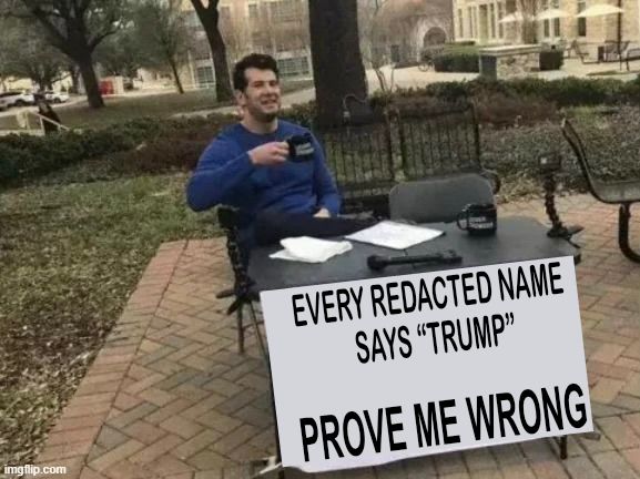 Man sitting at a table with a sign that says “Every redacted name says Trump.  Prove me wrong”