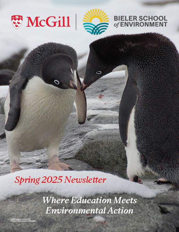 Cover photo for BSE Spring 2025 Newsletter: Two penguins embrace.