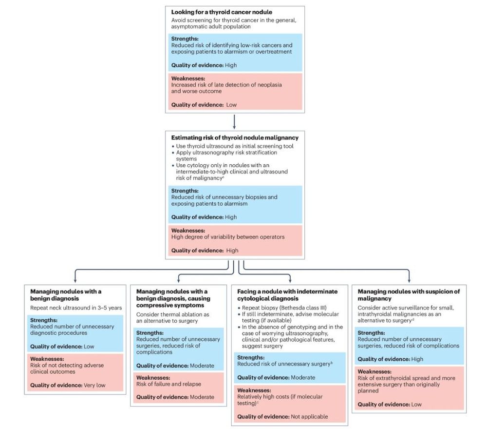 Figure showing a guide to best practices regarding the diagnosis and management of thyroid nodules.