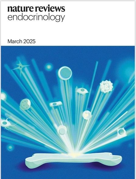 Showing the current front cover of Nature Reviews Endocrinology; against a blue background, different cell types emerge out of a bone cross-section.