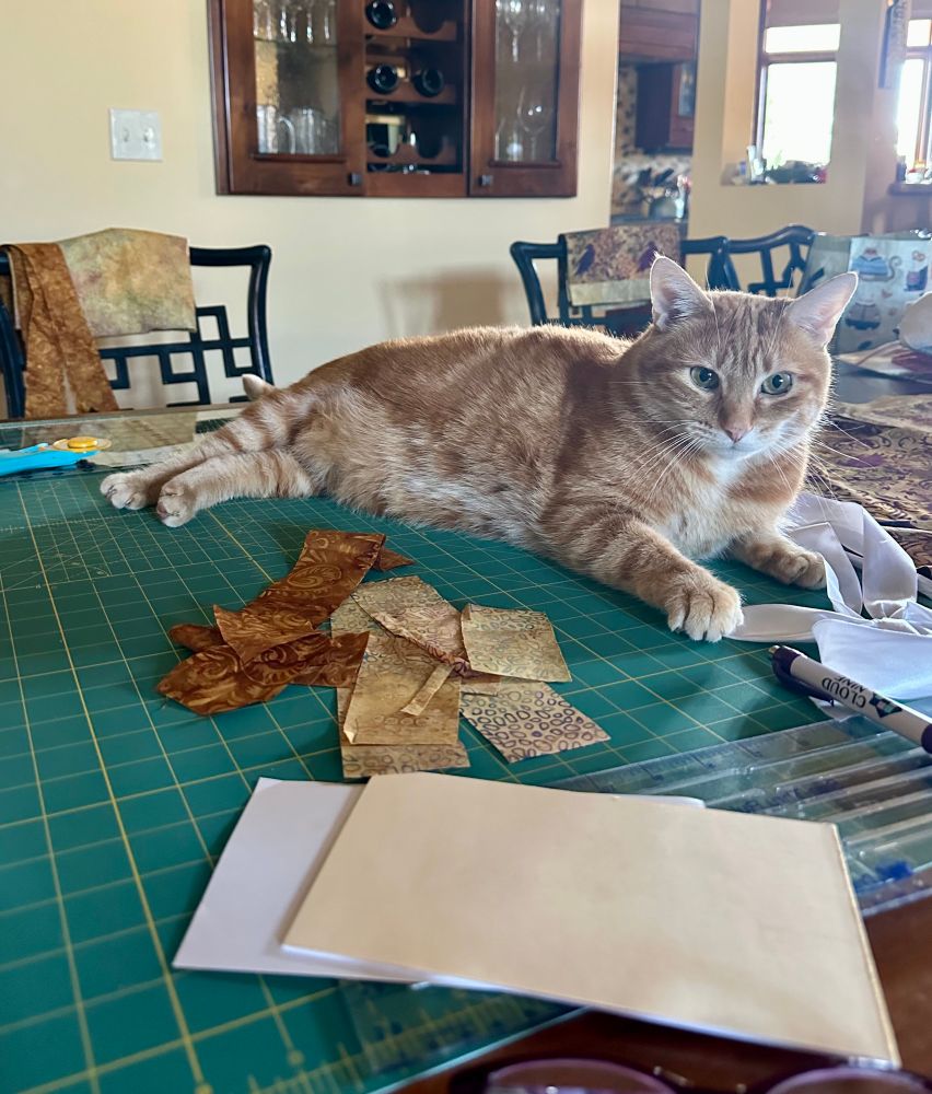 An orange cat is reclined on the green cutting mat. Fabric scraps and a ruler are in front of him. He’s clearly there to supervise the work. 