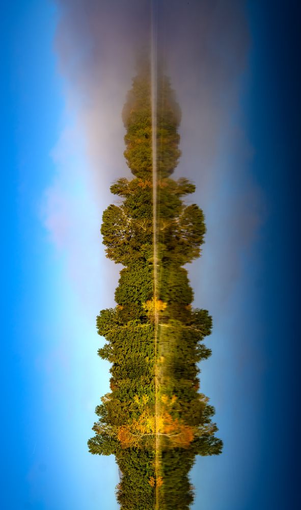 A vertically symmetrical photograph of a tree line reflected in perfectly still water, creating the illusion of a seamless column of green foliage under a vivid blue sky with a soft mist in the background