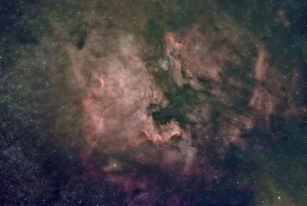 Image of the North America Nebula (NGC 7000), an emission nebula in the constellation Cygnus. The red coloration is due to hydrogen-alpha emission from ionized hydrogen gas energized by nearby hot, young stars. Dark dust lanes carve through the glowing gas, shaping the nebula’s continent-like silhouette. Captured using a Sony A7S camera and a 130mm f/7 Newtonian reflector telescope (130/900).