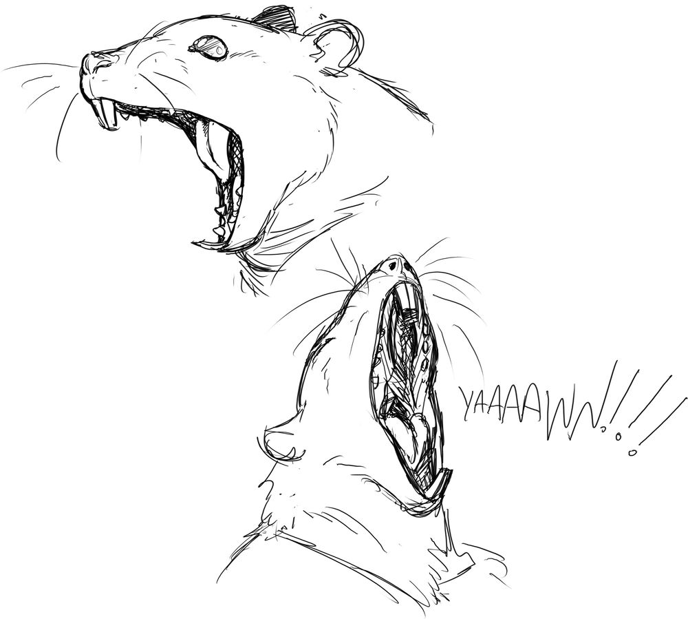 More explorations of less cute Rattman. Biblically accurate Keith Rat opens his mouth SUPER wide, showing off his teeth. 
He yawns in the second doodle, his mouth even WIDER, almost unhinged, and you can see down his throat. Spooky.