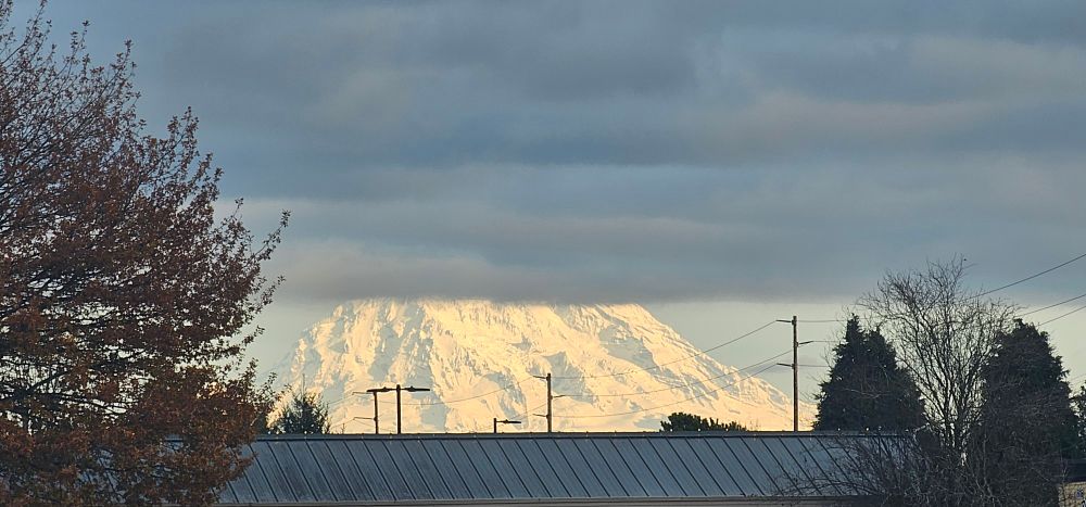 A Photograph of Mount Rainier(Originally named Mount Tahoma), with the Peak cut off by Clouds. 