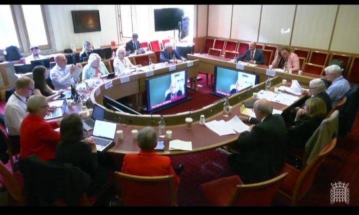 Committee room at House of Lords - seated are 11 peers and staff in a semi-circle arrangement. At the front are Sue Fletcher-Watson and Jonathan Vincent and on screen below Karen Guldberg.