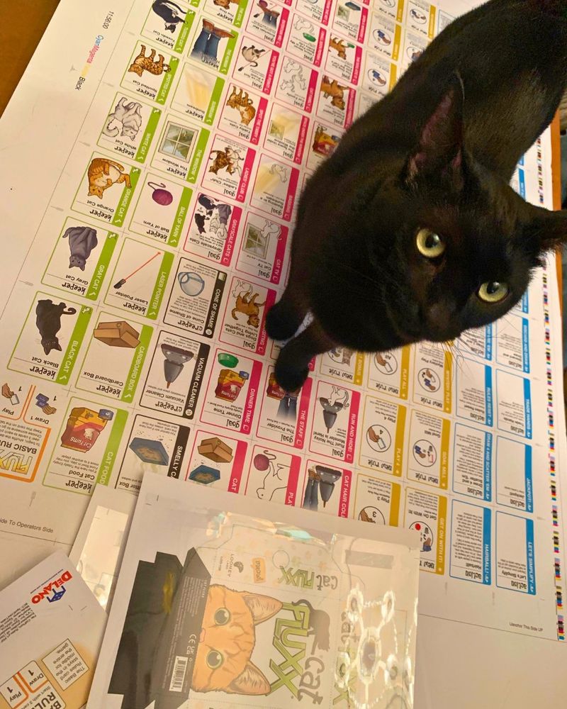 Neko, a black cat with green eyes, standing on a sheet of Cat Fluxx cards for proofing and the Cat Fluxx card game box flattened in the foreground with the Cat Fluxx rule book edge
