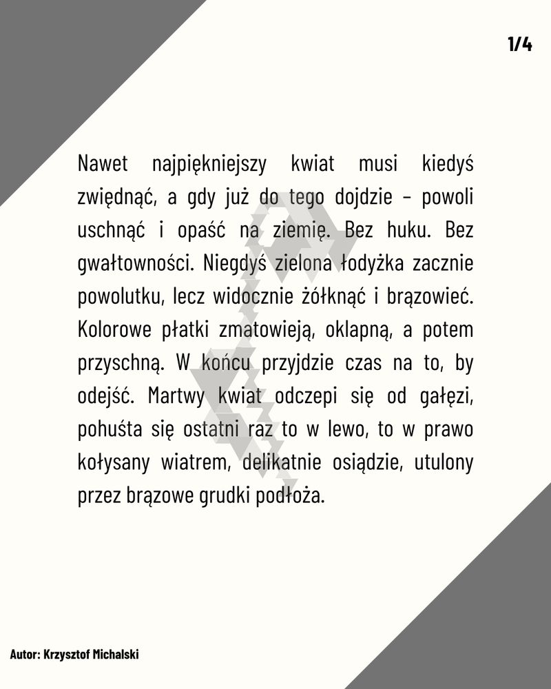 "Więdnięcie"
Autor: Krzysztof Michalski
Ku pamięci Barbary Wołkowskiej, kochanej babci, anioła bez skrzydeł.

Nawet najpiękniejszy kwiat musi kiedyś zwiędnąć, a gdy już do tego dojdzie – powoli uschnąć i opaść na ziemię. Bez huku. Bez gwałtowności. Niegdyś zielona łodyżka zacznie powolutku, lecz widocznie żółknąć i brązowieć. Kolorowe płatki zmatowieją, oklapną, a potem przyschną. W końcu przyjdzie czas na to, by odejść. Martwy kwiat odczepi się od gałęzi, pohuśta się ostatni raz to w lewo, to w prawo kołysany wiatrem, delikatnie osiądzie, utulony przez brązowe grudki podłoża.

1/4