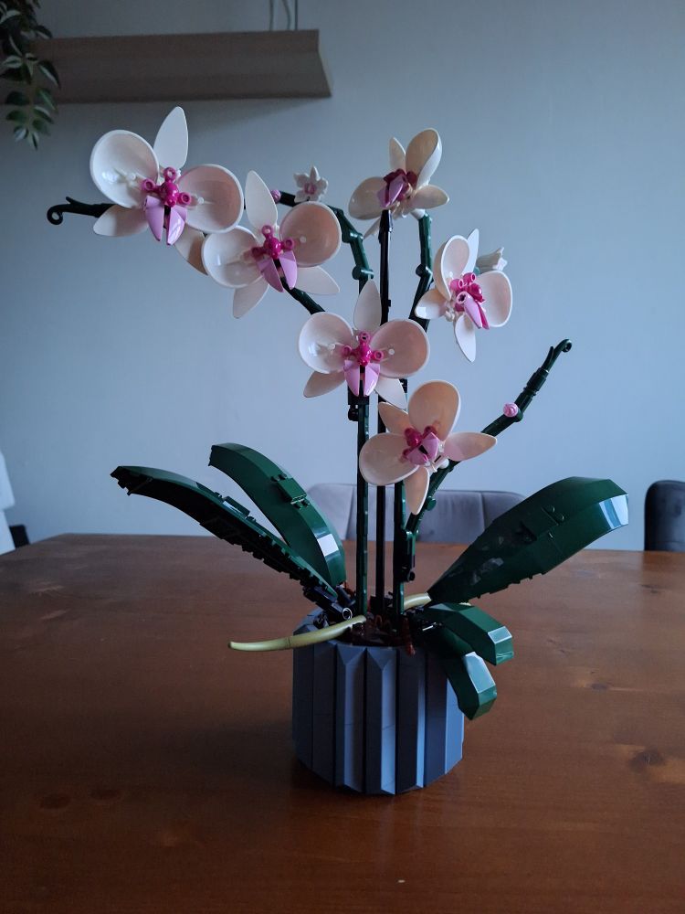 A photo of the LEGO orchids set, fully assembled, sitting on a wooden dining room table