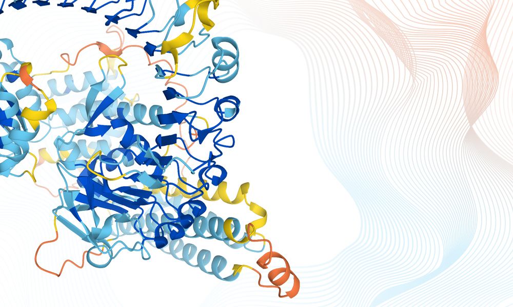 Protein structure prediction from the AlphaFold Database