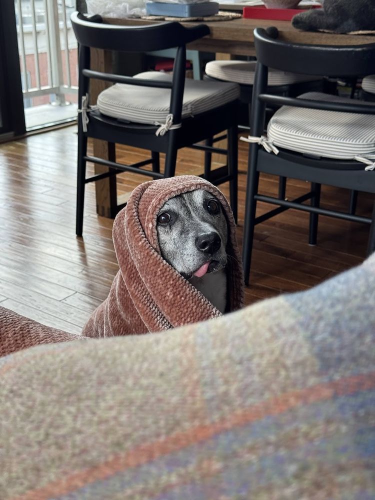 A wider shot of Peach having wrapped herself in a blanket