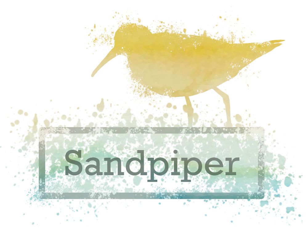 Logo for the Sandpiper website