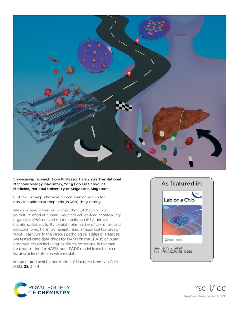 Inside back cover of issue 14 of @labonachip.rsc.org. Per the author, the image represents "In the race for drug testing for NASH, our LEADS model leads the race leaving behind other in vitro models."