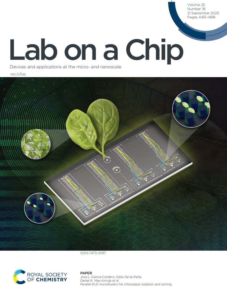 Inside front cover of issue 18 of Lab on a Chip. Image shows chloroplast isolation and sorting.
