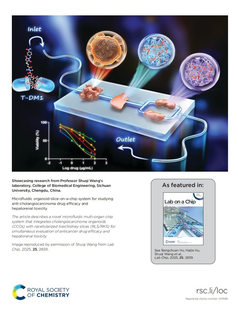 Back cover of issue 12 of @labonachip.rsc.org. Image shows a drug being screened through sequential organoid on a chip system.