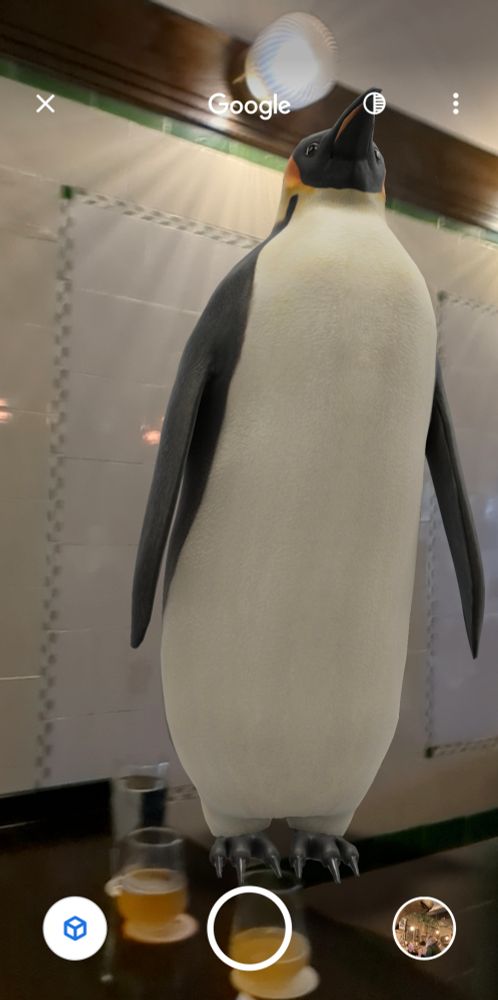 Google AR used to put an Emperor Penguin on a pub table
