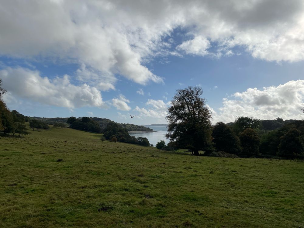 View out over the river Fal from Trellisick gardens.
