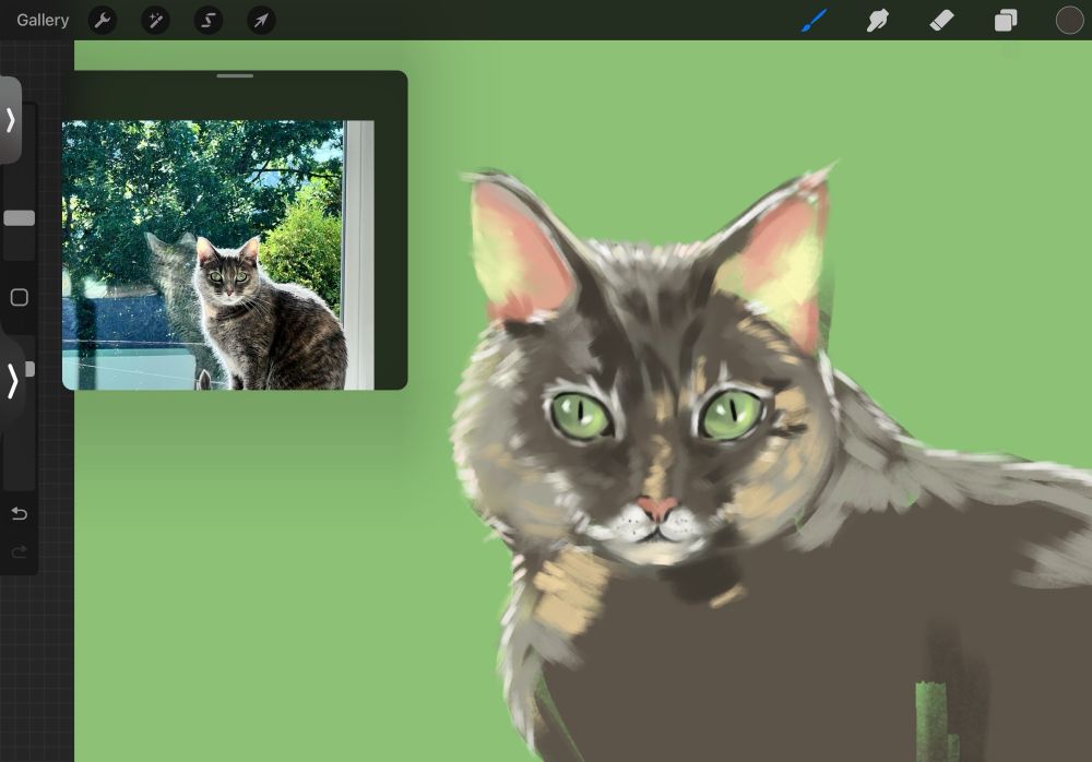 Screenshot from art program, Procreate, showing an in progress illustration of a grey cat. There is also a photo reference in the upper left corner. 
