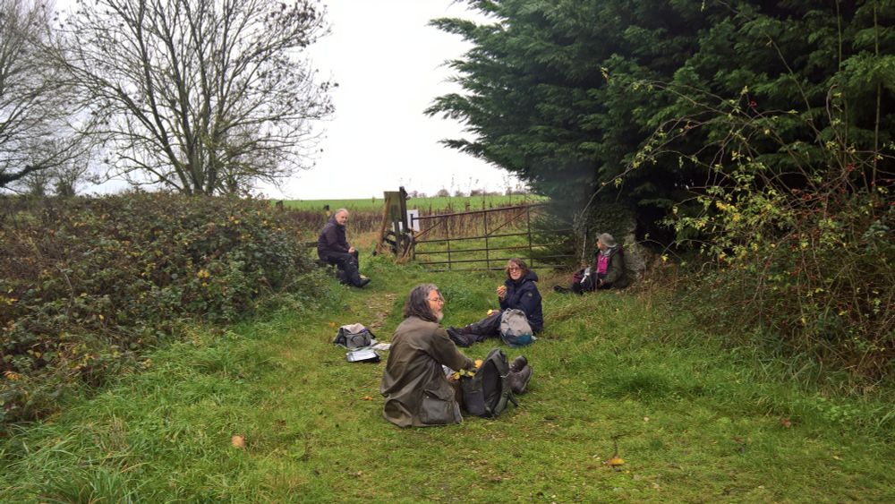 Botanists at lunch ... sadly I omitted to film Mary crawling under the fence  ...