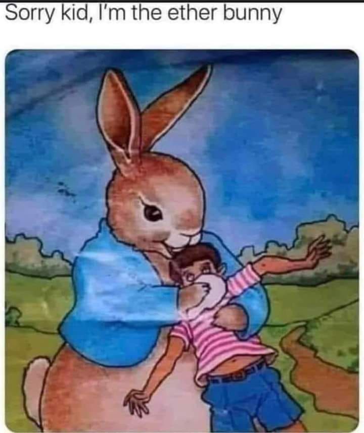 A satirical picture of a bunny holding a kid saying "sorry kid Im the ether bunny"