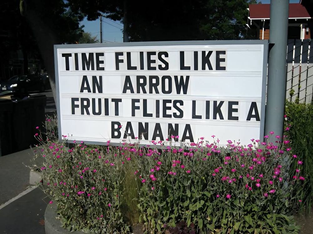 Day 42 of the realization. Lord of the flies is about the next four years. 
#Resistance