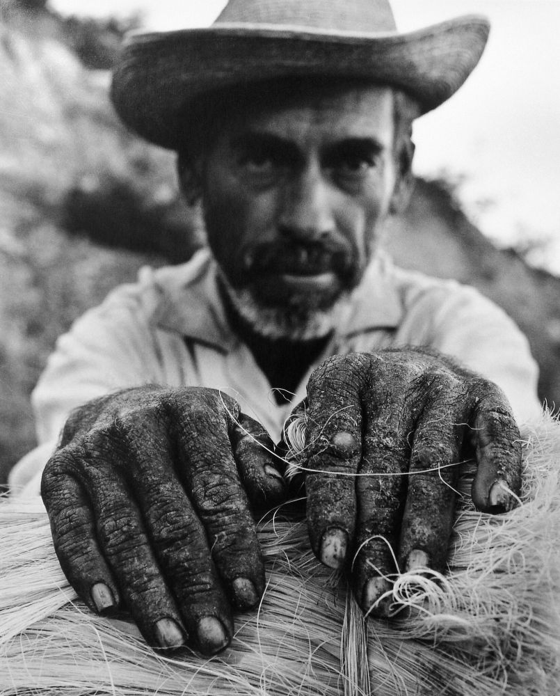 Photo by Rodrigo Moya