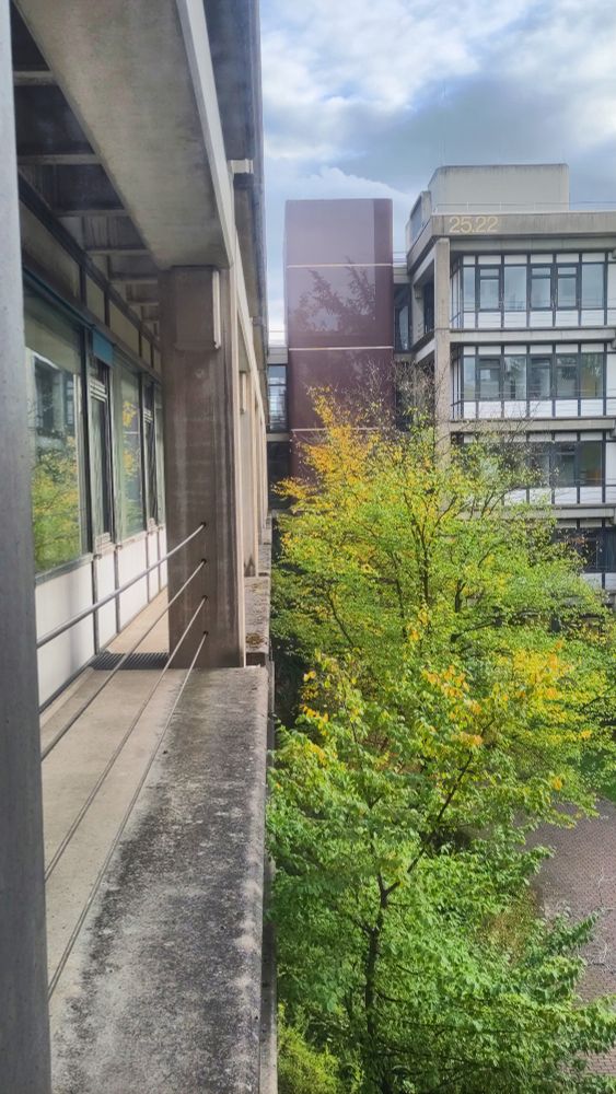 einer der Innenhöfe des 25er-Gebäudes, fotografiert aus dem ersten Stock

Man sieht in der Mitte einen grün-gelben Baum, links daneben und dahinter ein Betongebäude.