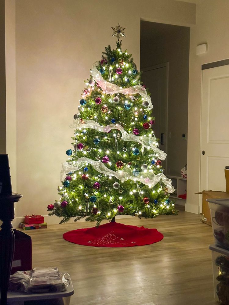 A tall christmas tree. Lit with white lights. A gold star at the top. Bulbs in various sizes and colors. A red skirt around its base.