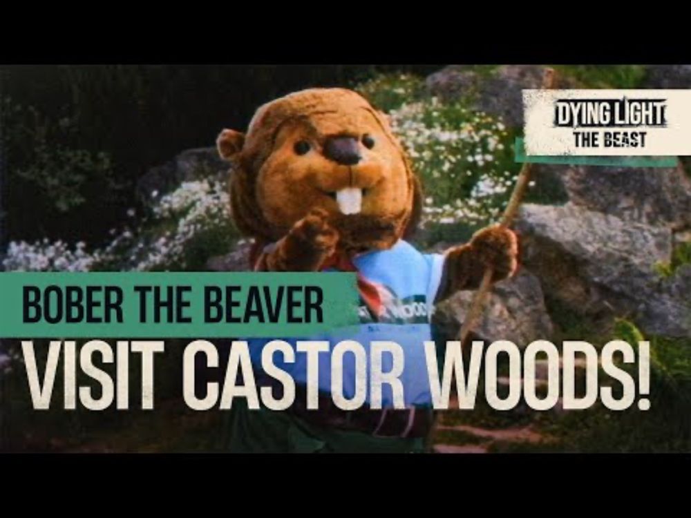 Bober the Beaver: Visit Castor Woods!